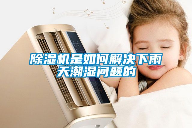 除湿机是如何解决下雨天潮湿问题的