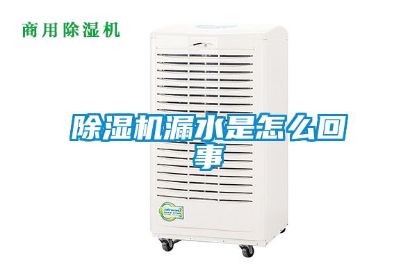 除湿机漏水是怎么回事