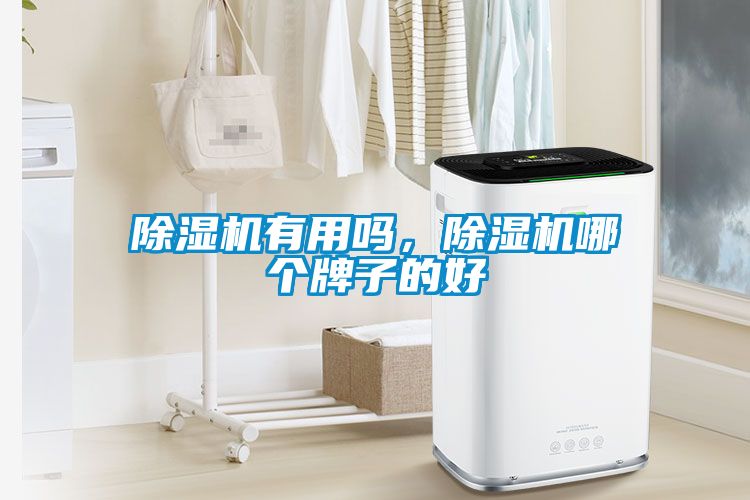 除湿机有用吗，除湿机哪个牌子的好