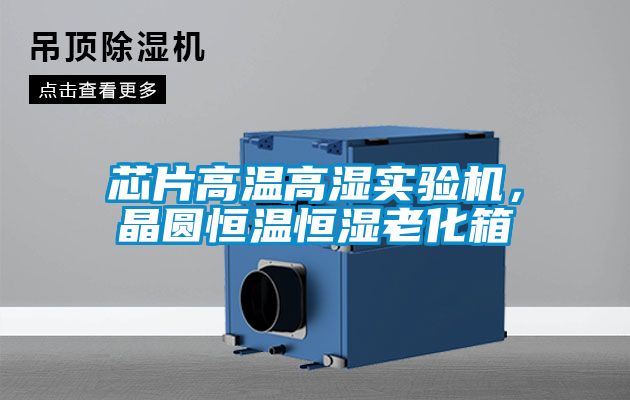 芯片高温高湿实验机，晶圆恒温恒湿老化箱