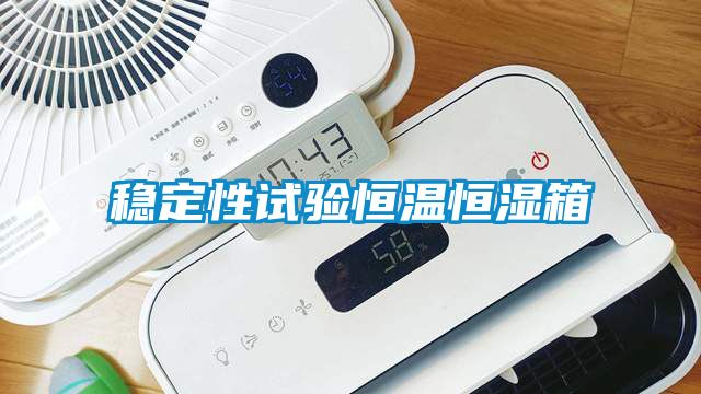 稳定性试验恒温恒湿箱