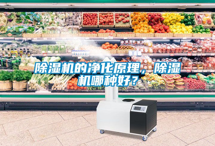 除湿机的净化原理，除湿机哪种好？
