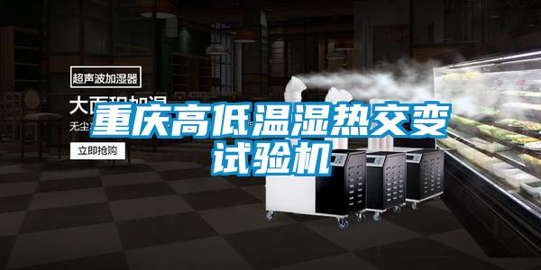 重庆高低温湿热交变试验机