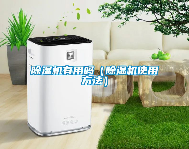 除湿机有用吗（除湿机使用方法）