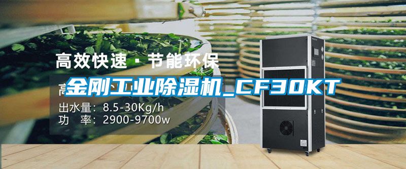 金刚工业除湿机_CF30KT