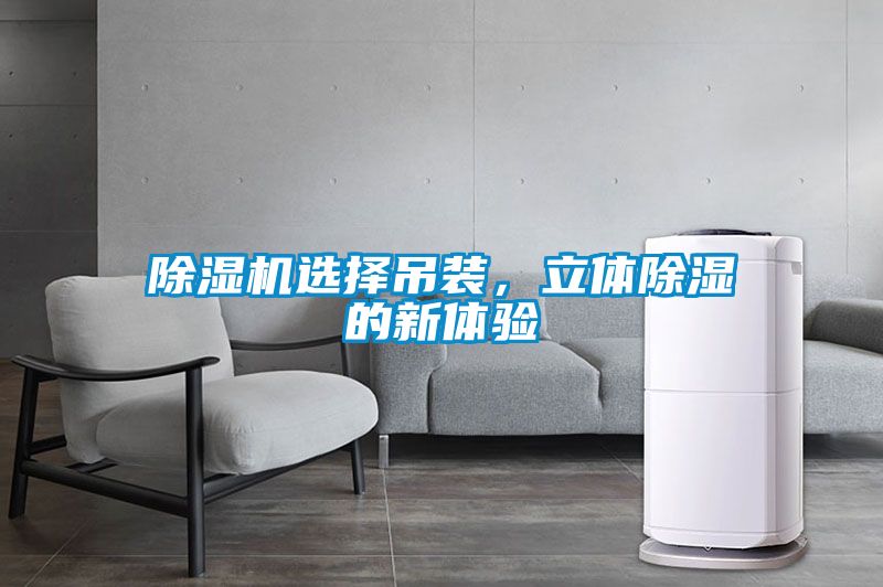除湿机选择吊装,立体除湿的新体验
