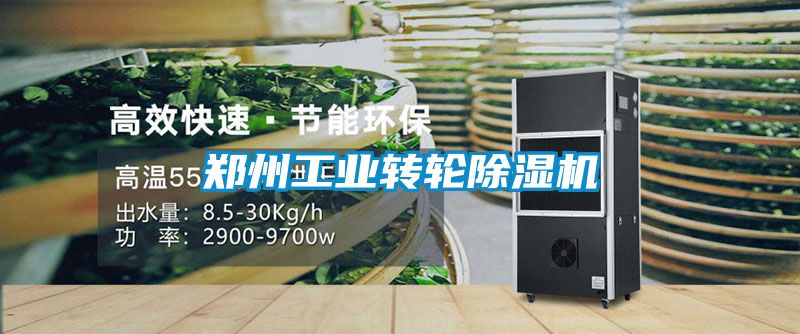 郑州工业转轮除湿机