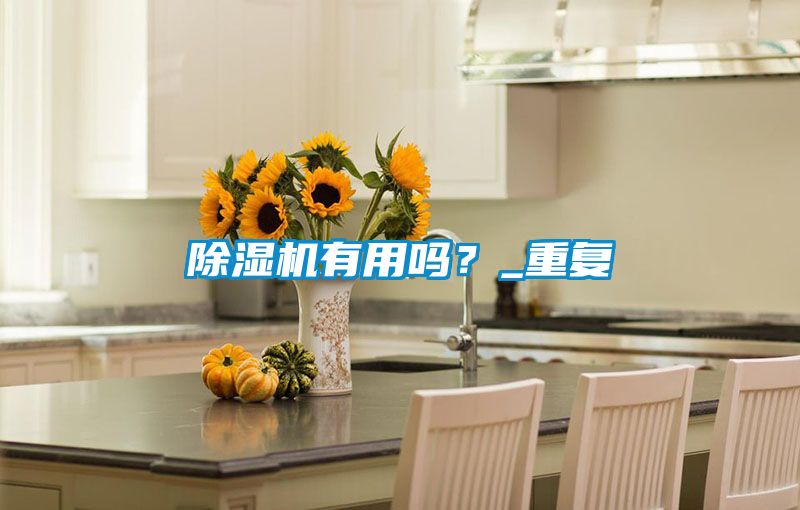 除湿机有用吗？_重复