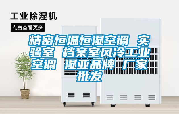 精密恒温恒湿空调 实验室 档案室风冷工业空调 湿亚品牌 厂家批发