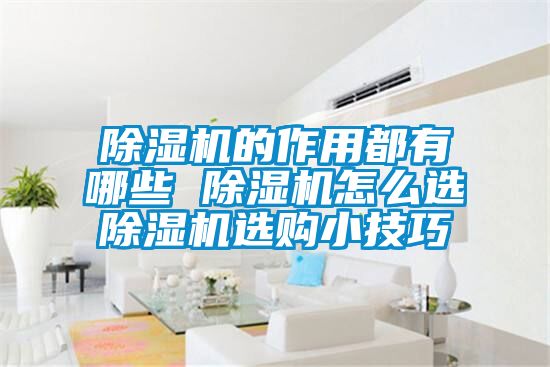 除湿机的作用都有哪些 除湿机怎么选除湿机选购小技巧