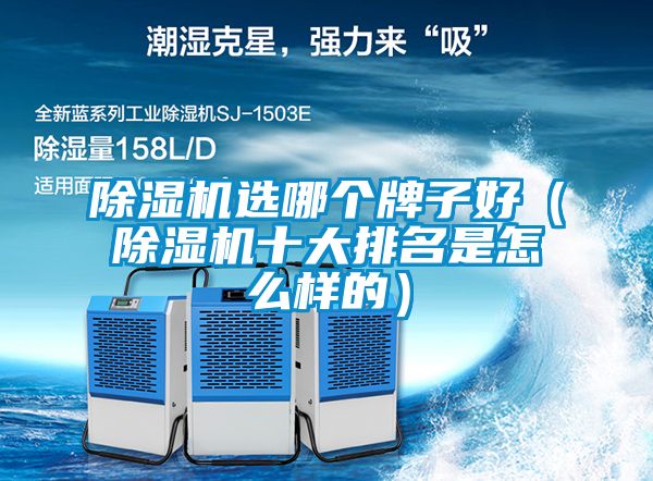 除湿机选哪个牌子好（除湿机十大排名是怎么样的）