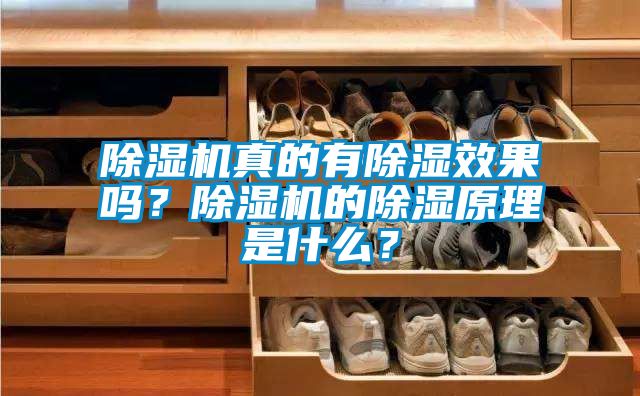 除湿机真的有除湿效果吗？除湿机的除湿原理是什么？