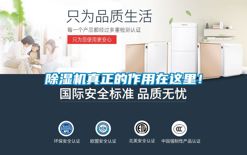 除湿机真正的作用在这里！