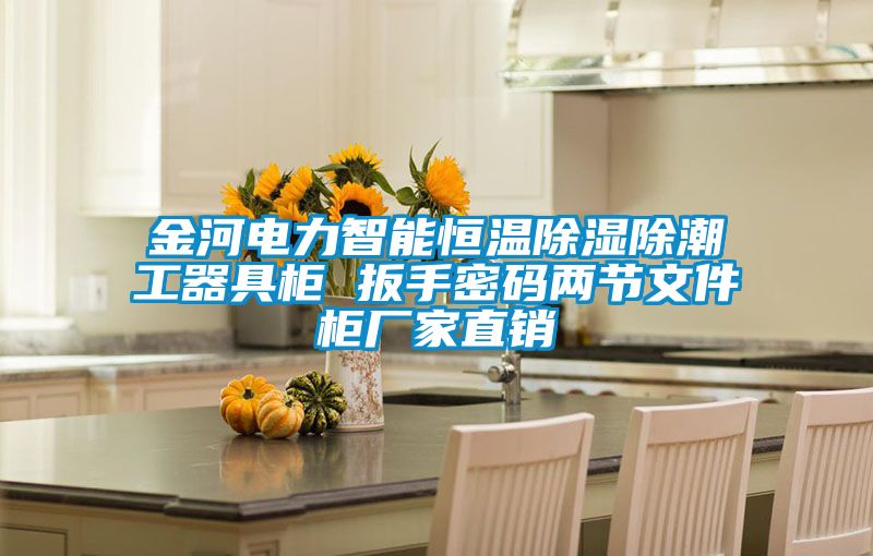 金河电力智能恒温除湿除潮工器具柜 扳手密码两节文件柜厂家直销