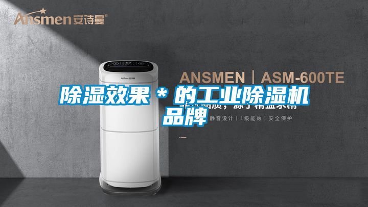除湿效果＊的工业除湿机品牌