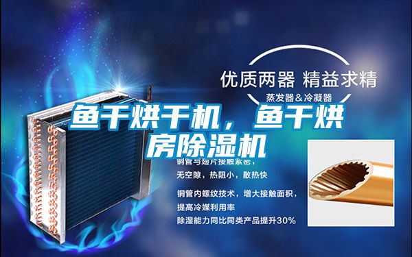 鱼干烘干机，鱼干烘房除湿机