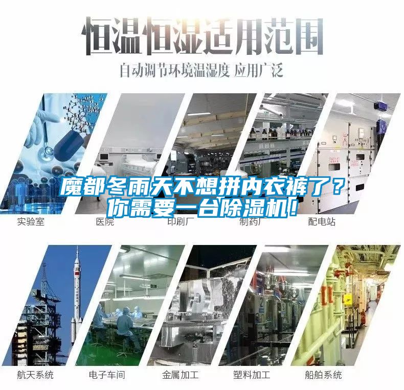 魔都冬雨天不想拼内衣裤了？你需要一台除湿机！