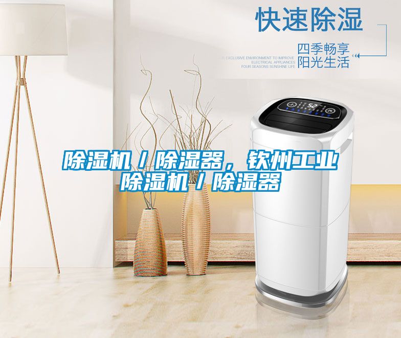 除湿机／除湿器，钦州工业除湿机／除湿器