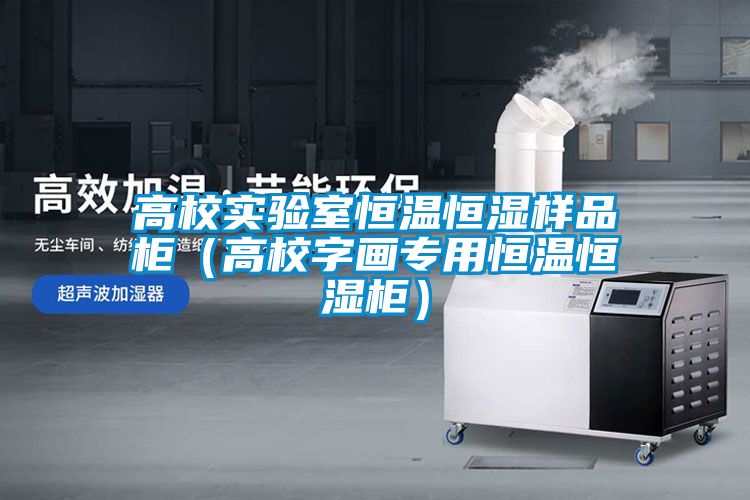 高校实验室恒温恒湿样品柜（高校字画专用恒温恒湿柜）