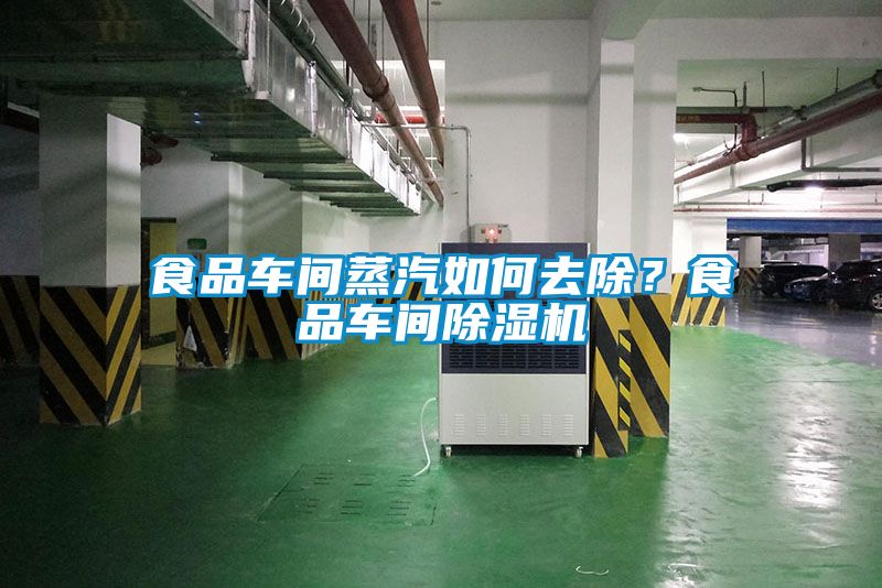 食品车间蒸汽如何去除？食品车间除湿机