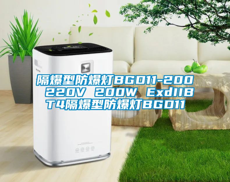 隔爆型防爆灯BGD11-200 220V 200W ExdIIBT4隔爆型防爆灯BGD11