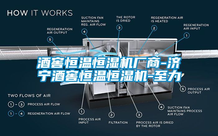 酒窖恒温恒湿机厂商-济宁酒窖恒温恒湿机-至力