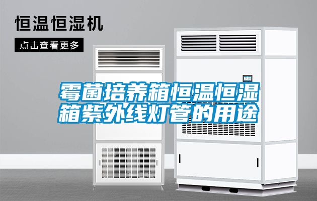 霉菌培养箱恒温恒湿箱紫外线灯管的用途