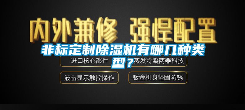 非标定制除湿机有哪几种类型？