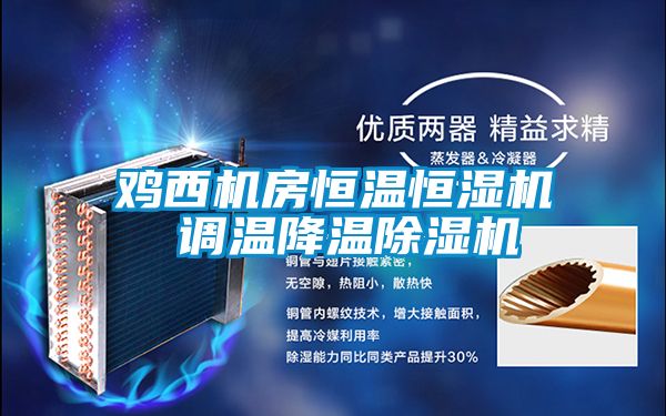 鸡西机房恒温恒湿机 调温降温除湿机