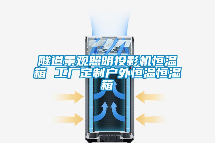 隧道景观照明投影机恒温箱 工厂定制户外恒温恒湿箱