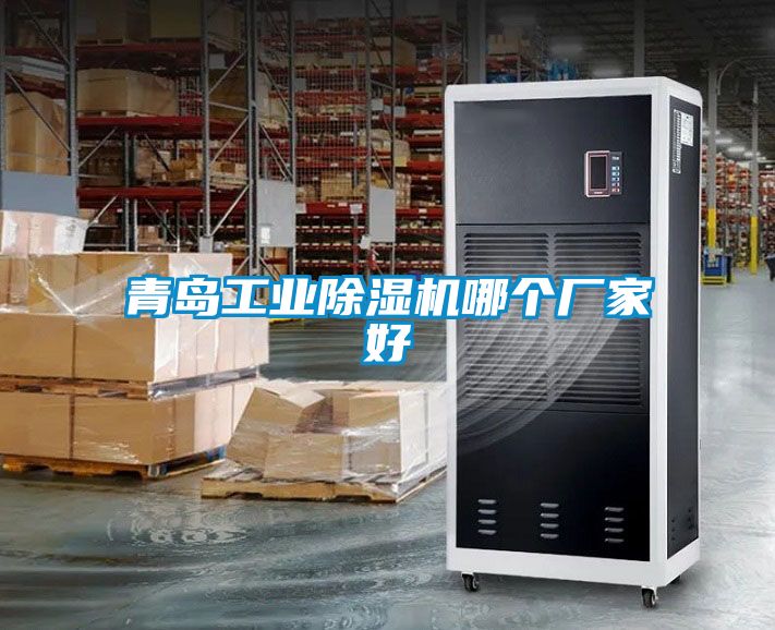 青岛工业除湿机哪个厂家好