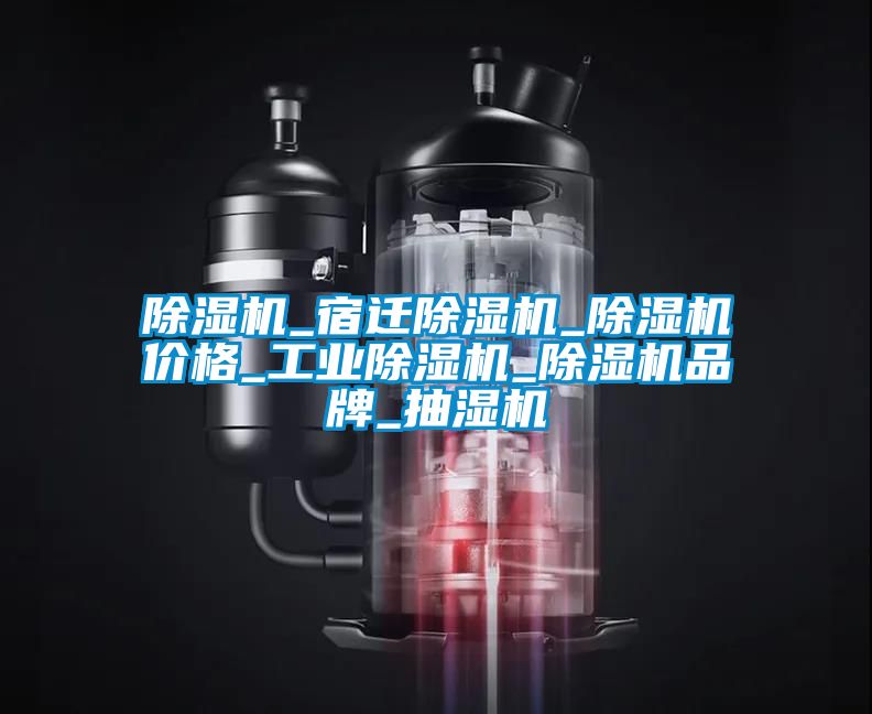 除湿机_宿迁除湿机_除湿机价格_工业除湿机_除湿机品牌_抽湿机