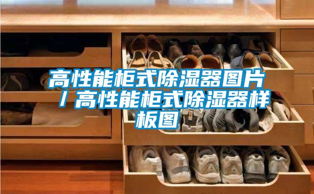 高性能柜式除湿器图片／高性能柜式除湿器样板图