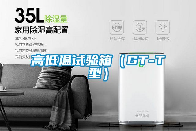 高低温试验箱(GT-T型)