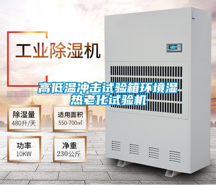 高低温冲击试验箱环境湿热老化试验机