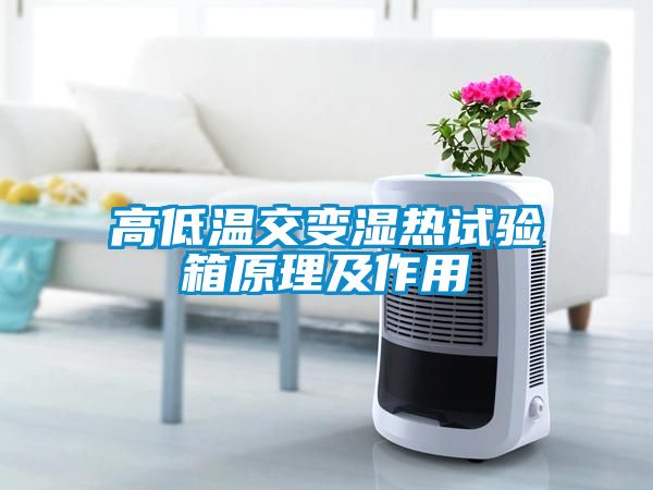 高低温交变湿热试验箱原理及作用
