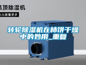 常见问题转轮除湿机在柿饼干燥中的妙用_重复