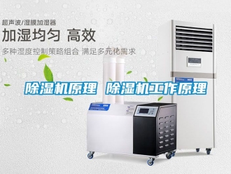 行业新闻除湿机原理 除湿机工作原理