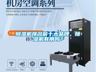 企业新闻除湿机排名前十大品牌，除湿机有用吗？