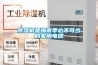 除湿机是梅雨季必不可少的家用电器 除湿机是梅雨季必不可少的家用电器