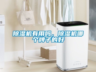 行业新闻除湿机有用吗，除湿机哪个牌子的好
