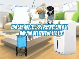 行业新闻除湿机怎么操作流程 除湿机如何操作