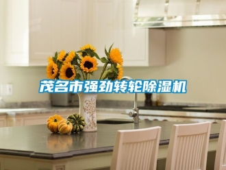 常见问题茂名市强劲转轮除湿机