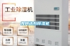 如何选购除湿机 如何选购除湿机