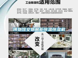 常见问题博物馆文物展柜恒温恒湿机