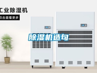 行业新闻除湿机造句