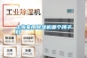 上海家用除湿机哪个牌子好 上海家用除湿机哪个牌子好