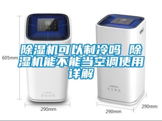 行业新闻除湿机可以制冷吗 除湿机能不能当空调使用详解