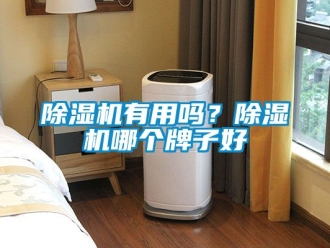 行业新闻除湿机有用吗？除湿机哪个牌子好