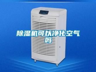 行业新闻除湿机可以净化空气吗